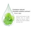 Picture of THE PURE JEJU CICA CLEANSING WATER 500ML